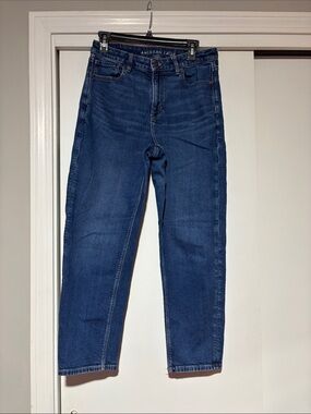 American Eagle Outfitters Dark Blue Slim Straight Jeans